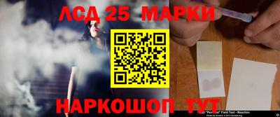 гидропоника Краснодар